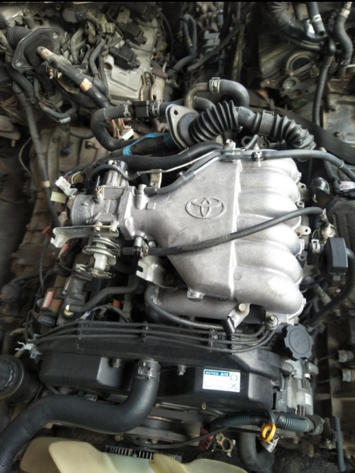 Toyota Prado Engine